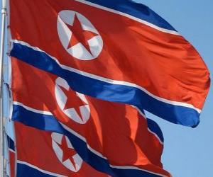 пазл Флаг Северной Кореи